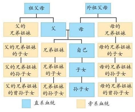 外孫女是直系血親嗎|什麼是民法的親屬？直系、旁系、尊、卑親屬？